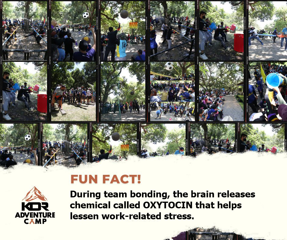 Fun fact