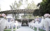 Wedding 1