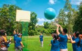 Giant basketball 3