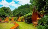 Glamping