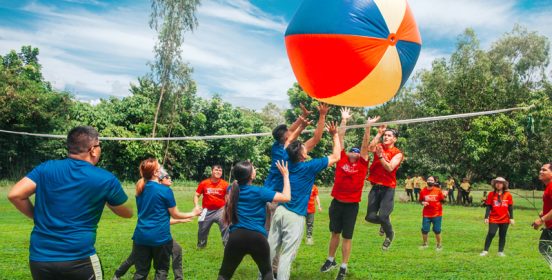 giant volleyball 5