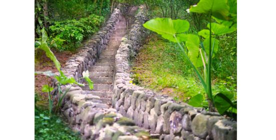 mellinial steps 4