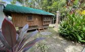 nipa hut2
