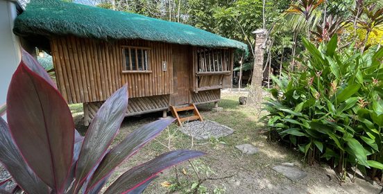 nipa hut2