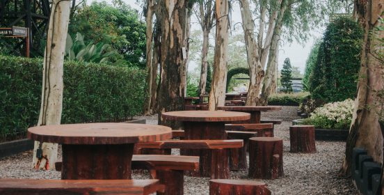 picnic area 2