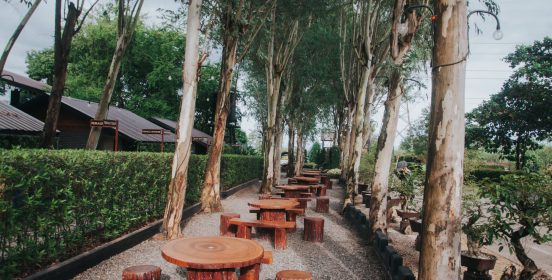 picnic area 3