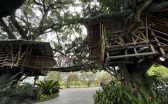 treehouse