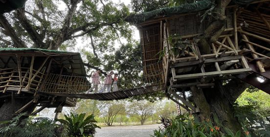 treehouse