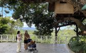 treehouse2