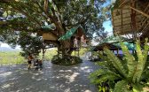 treehouse3