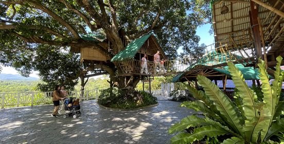 treehouse3