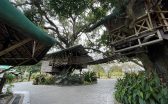 treehouse5