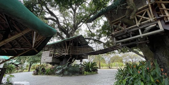 treehouse5