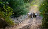 trekking 2